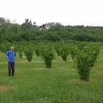 La Tilia Gospodarstwo agroturystyczne Lequio Tanaro