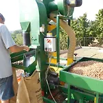 La Tilia