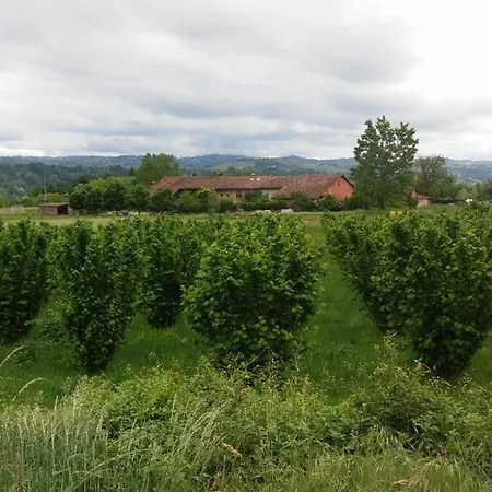 La Tilia Lequio Tanaro