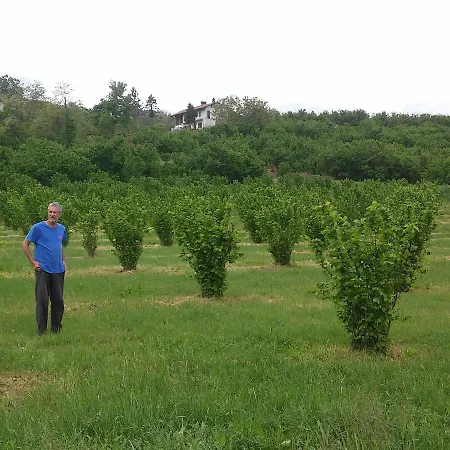 La Tilia Alloggio per agriturismo Lequio Tanaro