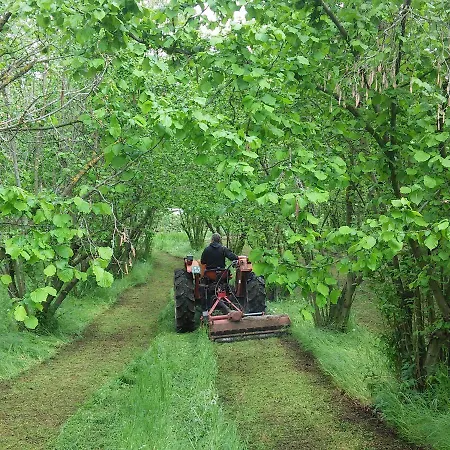 La Tilia Alloggio per agriturismo