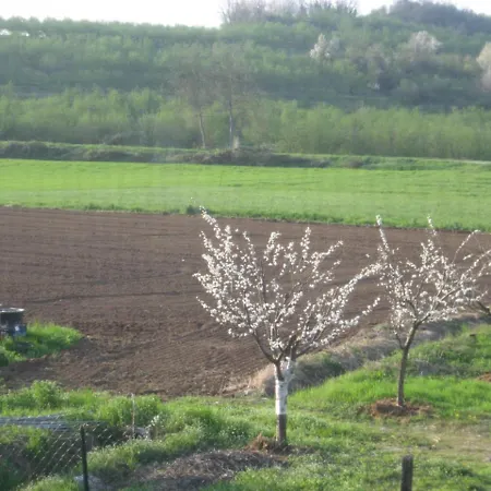 La Tilia